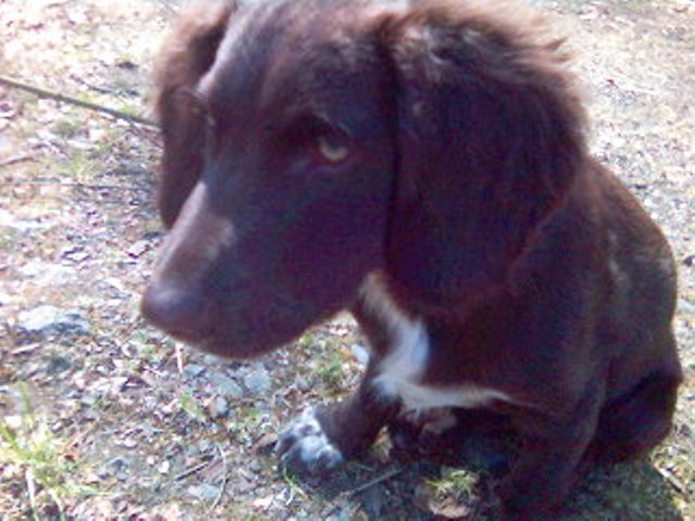 Obrázok(7) (1).jpg
